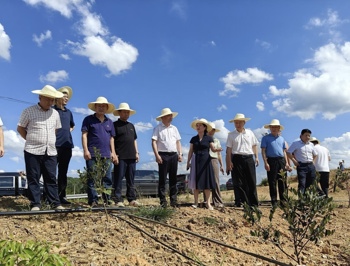 农工党省委会来桃源调研同心“和美湘村”建设