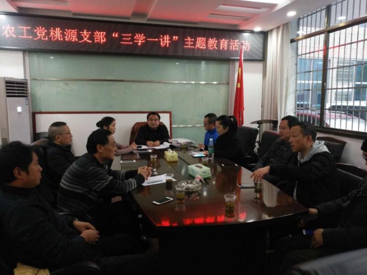 农工党桃源支部开展“三学一讲”主题教育会议.jpg